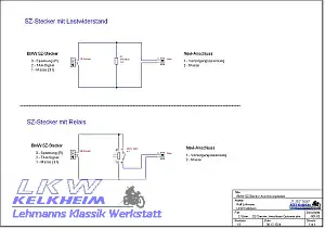 BMW SZ-Stecker Anschlussoptionen
