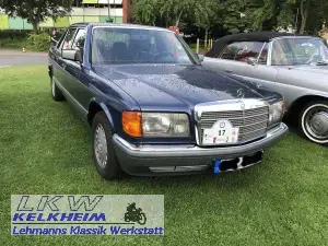 Der Mercedes 300 SEL parkt im Stadpark von Hameln