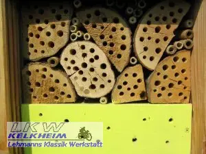 Erste Bewohner im Insektenhotel