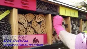 Einstecker der Brutröhrchen